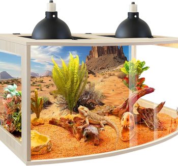 reptile habitat enclosure