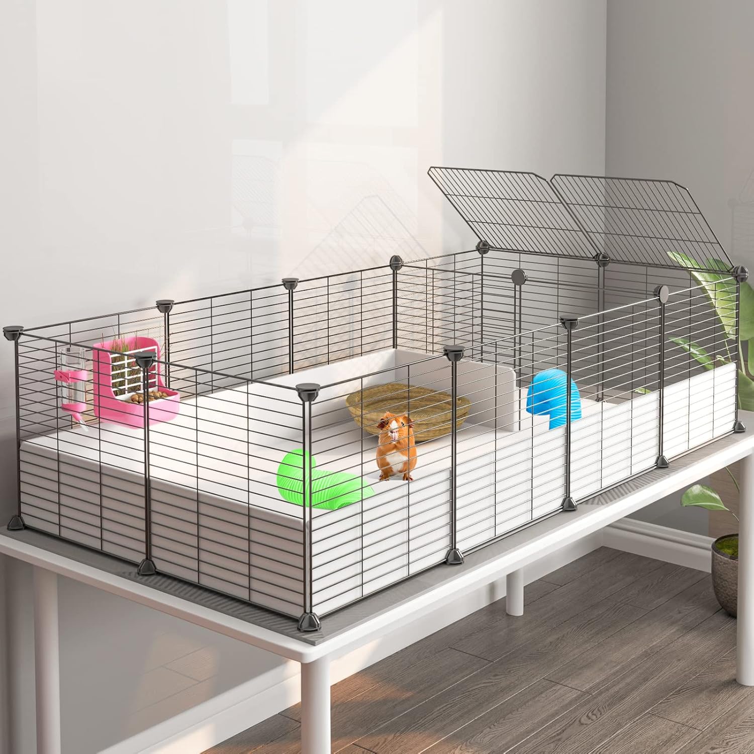 guinea pig habitat durable