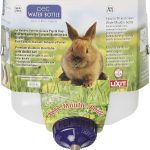 cheap rabbit cage large