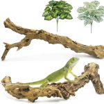 reptile climbing branch