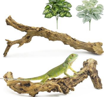 reptile climbing branch