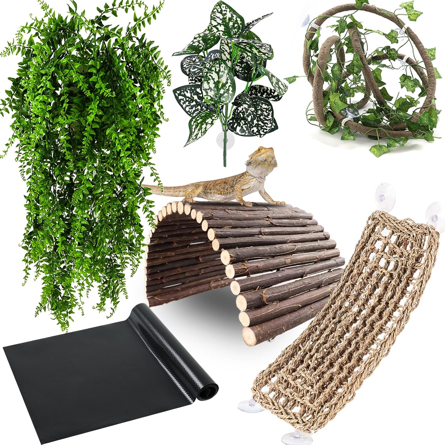 reptile accessories set