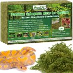 gecko substrate natural