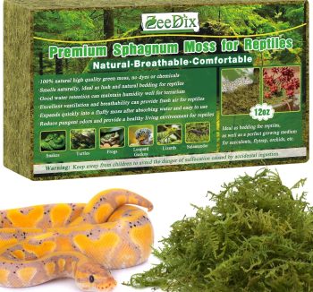 gecko substrate natural