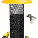 finch bird food