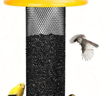 finch bird food