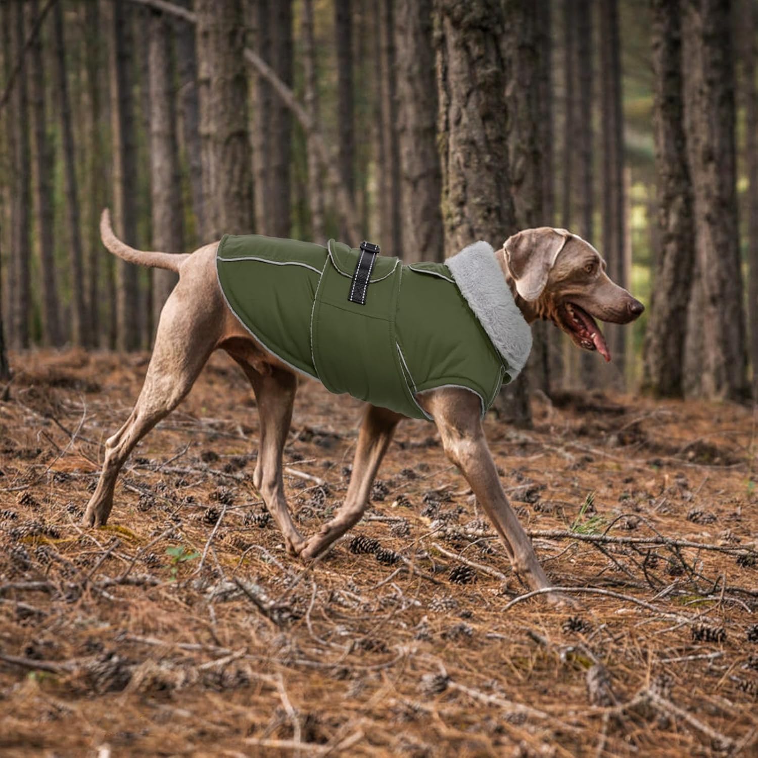 Lelepet Warm Dog Coat Reflective Fleece Vest Waterproof Dog Jacket with Adjustable Buckle Hook & Loop Windproof Cold Weather Coats for Small Medium Large Dogs, Army Green, M - Happypetzone.online - Image 8