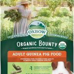 guinea pig food