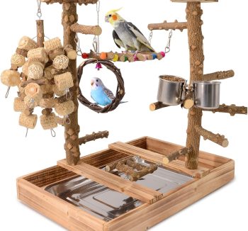 bird play perch stand