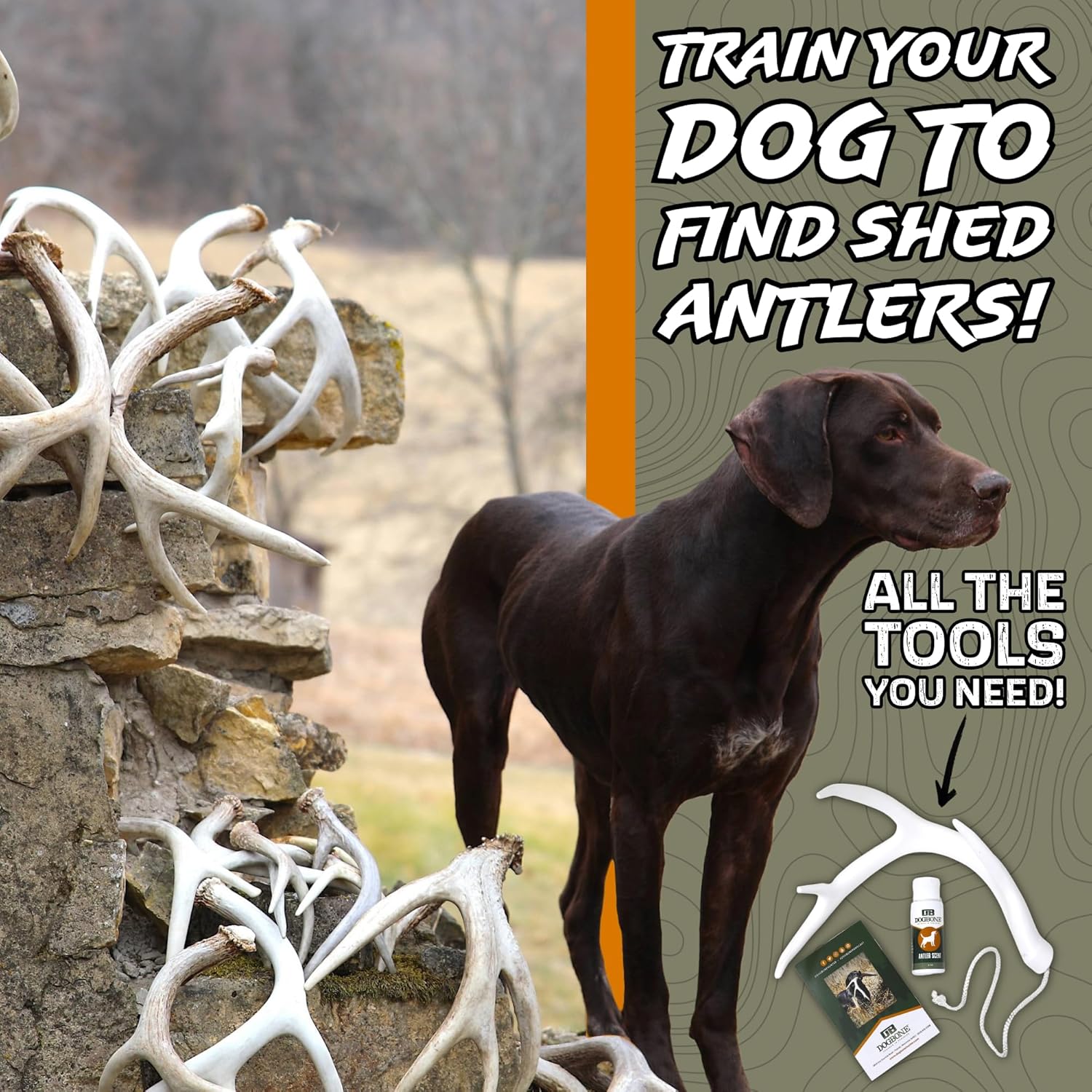 DogBone Shed Hunting Dog Training Kit – Train Your Puppy to Find Deer Antlers - Includes 2 oz Scent for Nosework & Flexible Floating Dummy for Retrieving - Perfect for Whitetail Hunters - Happypetzone.online - Image 2