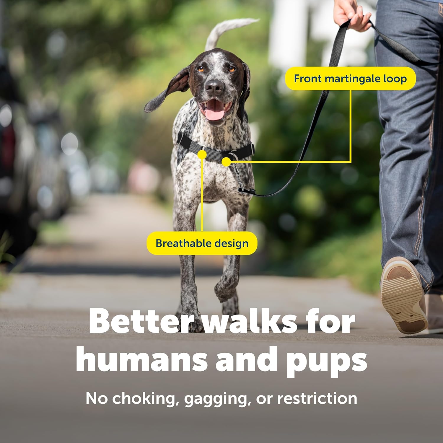 PetSafe Easy Walk No-Pull Dog Harness - Ultimate Harness to Help Stop Pulling - Pull-Free Walks - Take Control & Teach Better Leash Manners - Patented Martingale Loop Design - Raspberry, Medium/Large - Happypetzone.online - Image 4