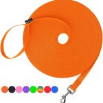 dog leash training