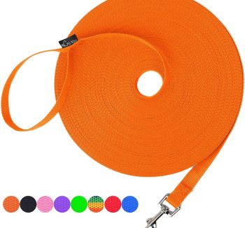 dog leash training