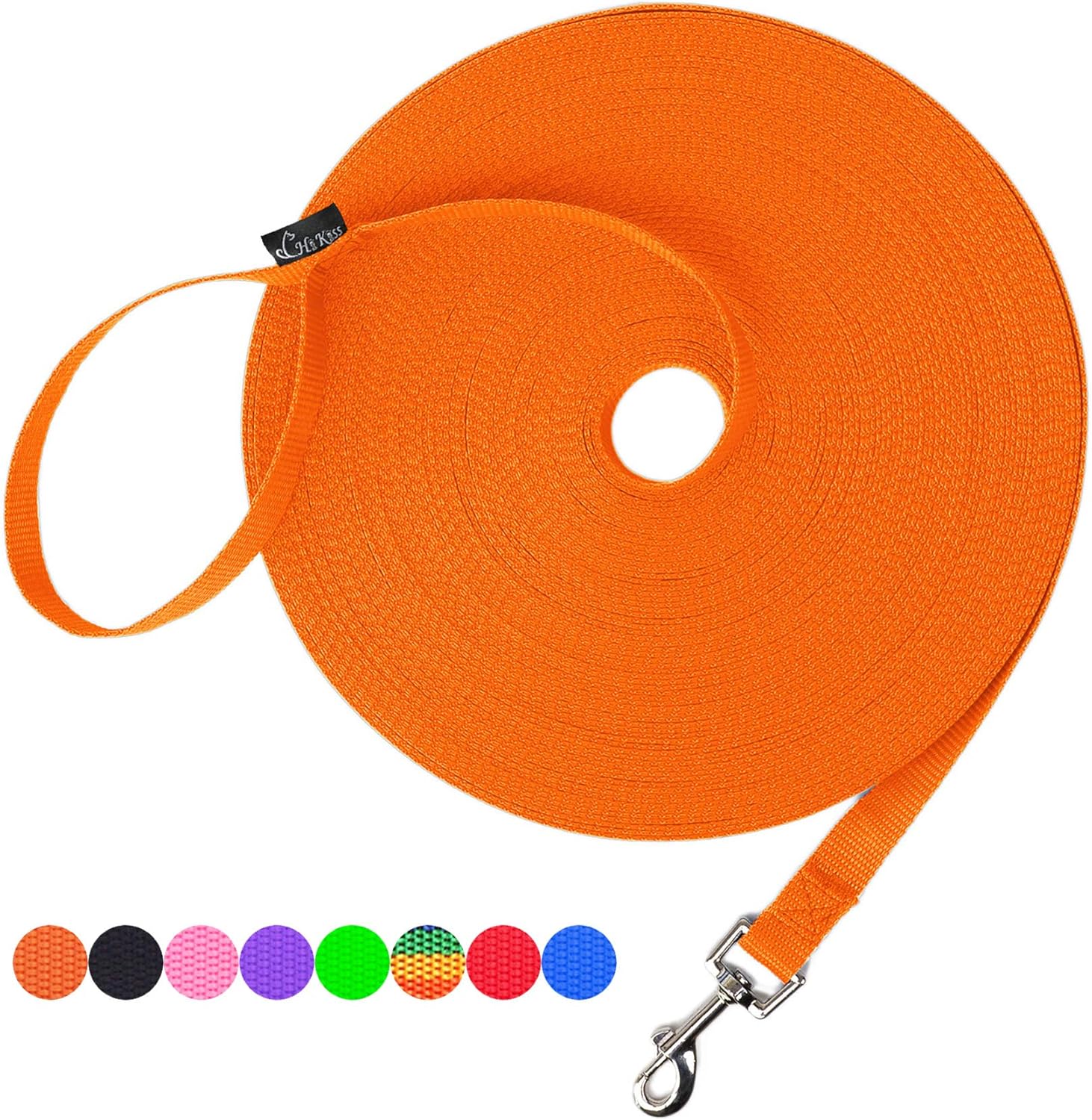 dog leash training