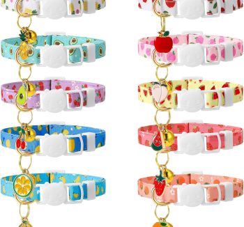 cat collar safety breakaway