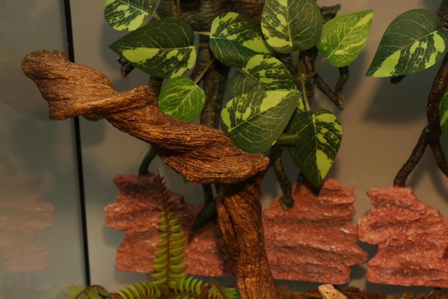 AQUA KT Reptile Twist Climber Vine Bendable Branch for Lizard Snake Bearded Dragon Crested Gecko Climbing Accessory Terrarium Habitat Decoration - Happypetzone.online - Image 8