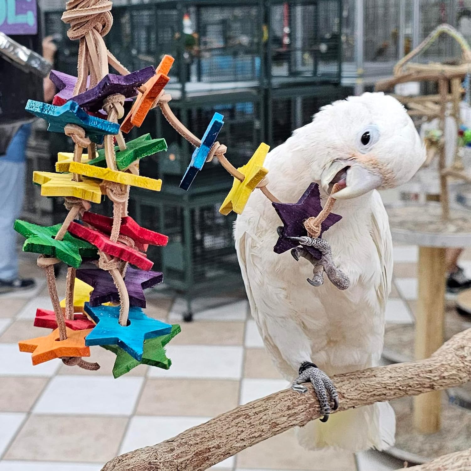Birds LOVE Wood Stars & Leather Toy for Bird Cage Stand or Playgym, Bird Toys for Small to Medium Parrots, Sun Conures, Green Cheeked Conures, Quakers, Parakeets, Caiques, Cockatiels, African Senegals - Happypetzone.online - Image 4