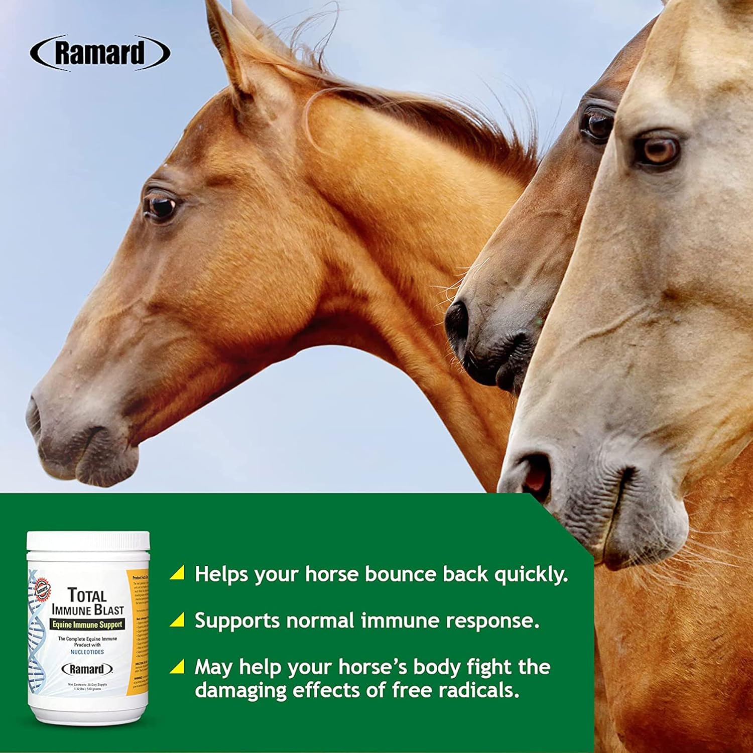 Ramard Total Immune Blast - Equine Immune Support, Horse Vitamin & Powder Supplement w/Zinc, Selenium, Omega 3, Omega 6 & Vitamins w/Nucleotides, Equine Powder & Supplements 1.12 lbs. 30 Days Supply - Happypetzone.online - Image 5