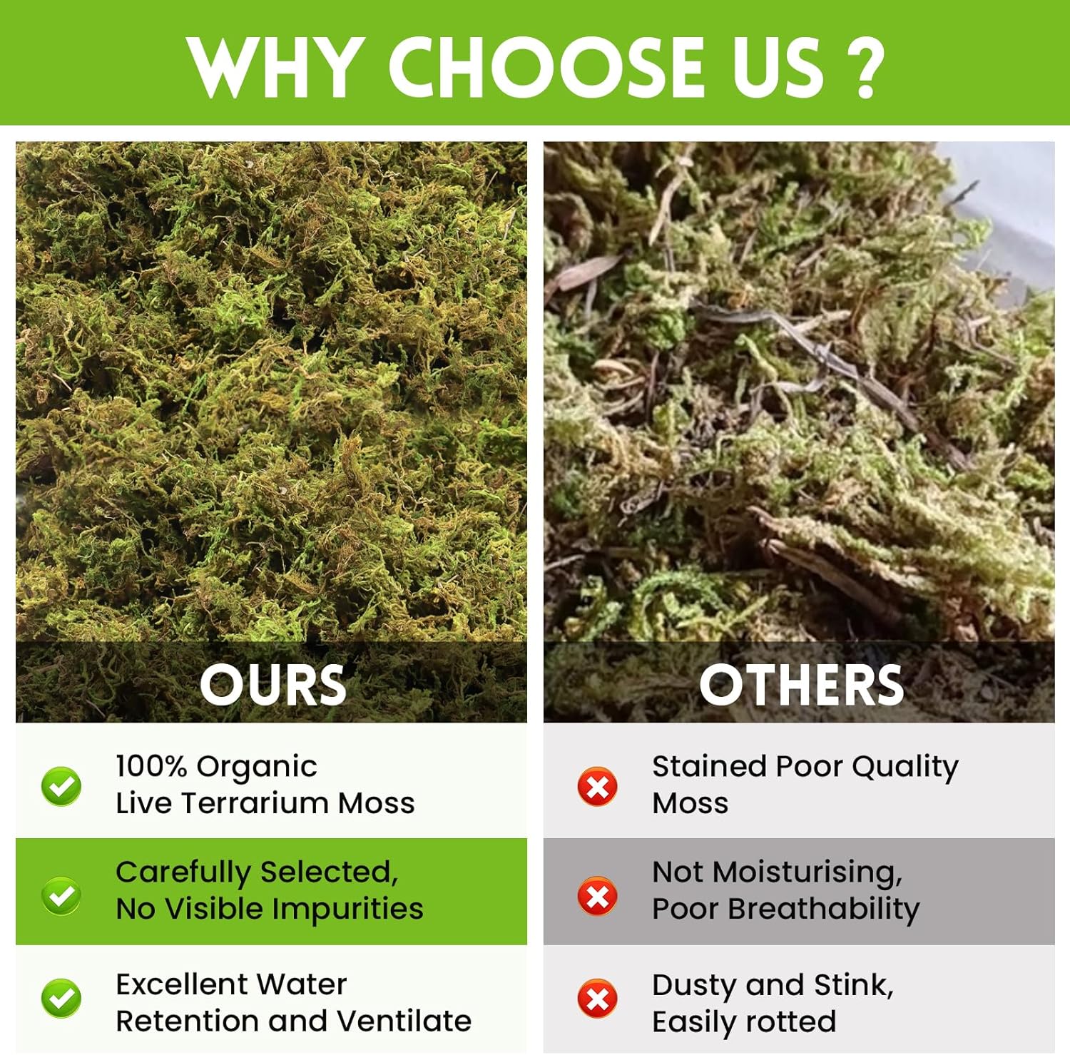 Riare 3.5 OZ Premium Sphagnum Moss for Reptiles- 4QT Natural Live Moss Reptile Moss Bedding for Terrarium, Hatching, Forest Sphagnum Moss Reptile Substrate for Snakes, Gecko, Turtles, Frogs, Leopard - Happypetzone.online - Image 5