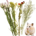 organic hamster food