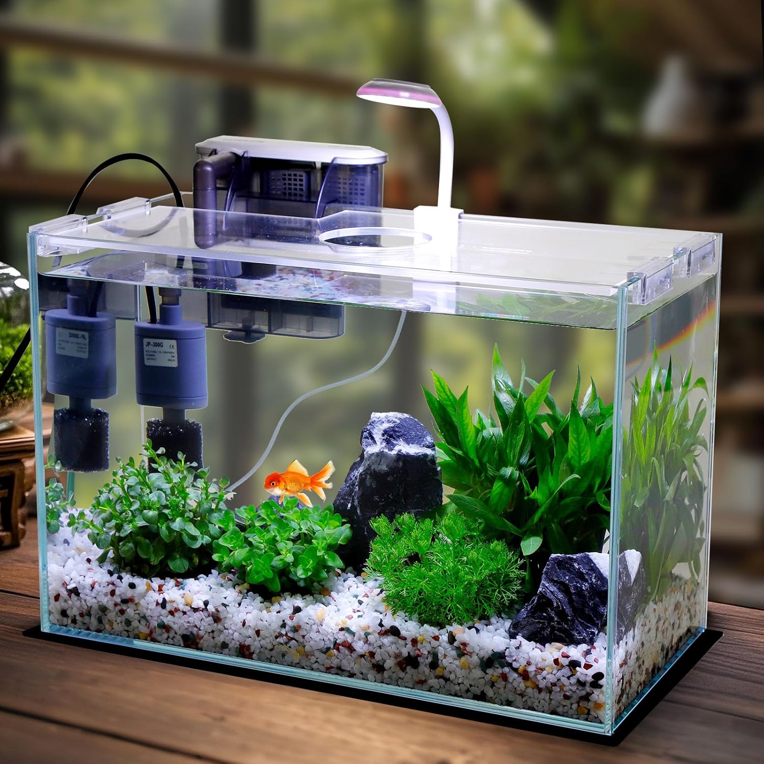 Vimvins 5 Gallon Glass Small Fish Tank with Filter Light and Lid, Betta Aquarium Starter Kits - Happypetzone.online - Image 2