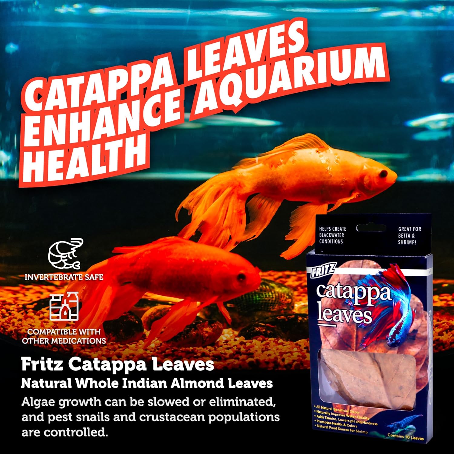 Fritz Catappa Leaves - Happypetzone.online - Image 6