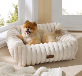 best dog beds