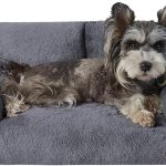 dog couch furniture