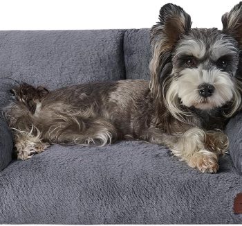 dog couch furniture
