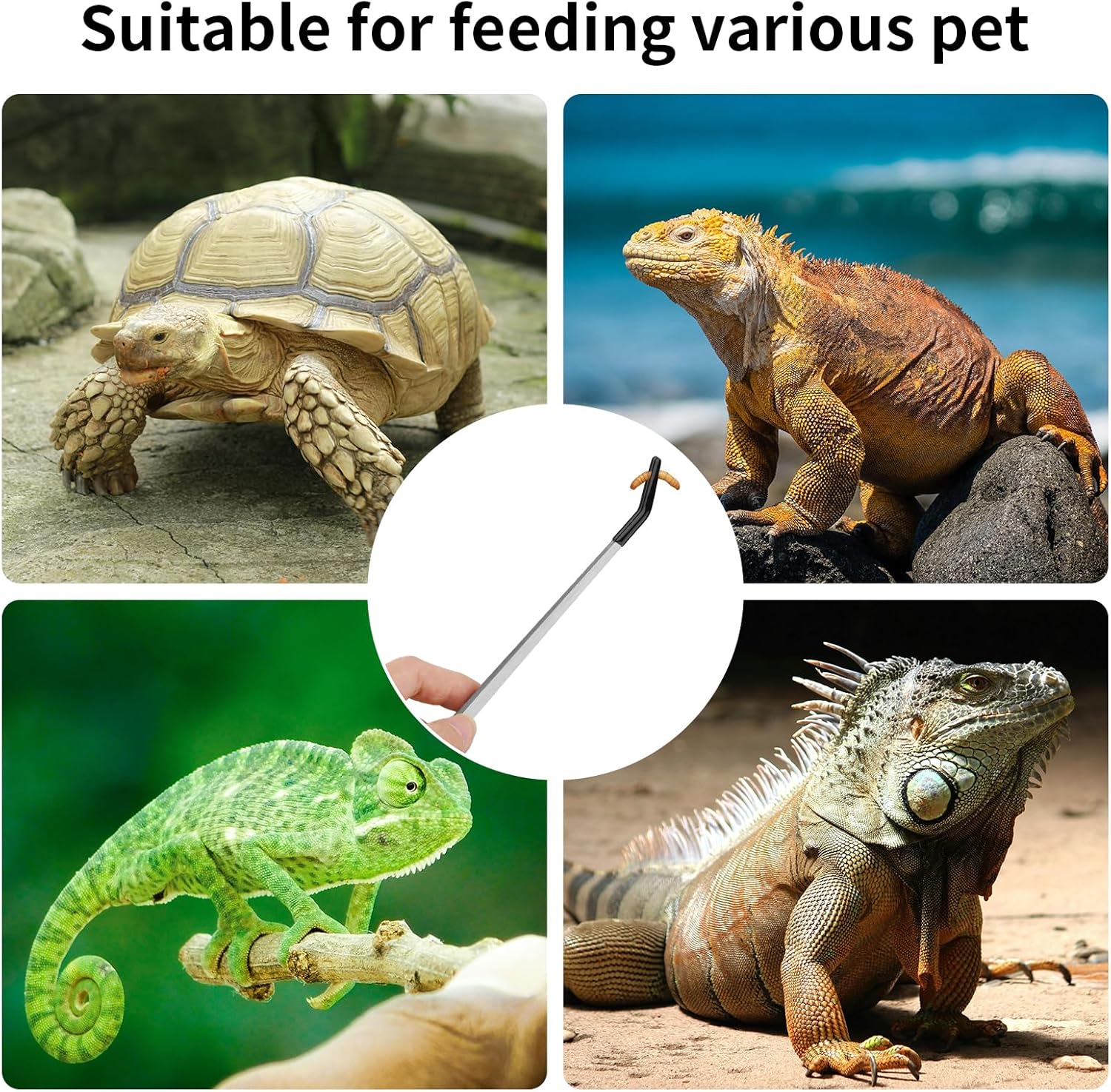Novery 2PCS Stainless Steel Reptile Feeding Tongs with Rubber Tip, 10.6” Straight & Curved Long Tweezers for Aquarium or Craft, Bearded Dragon Tank Snakes Enclosure Accessories, Terrarium Supplies - Happypetzone.online - Image 7