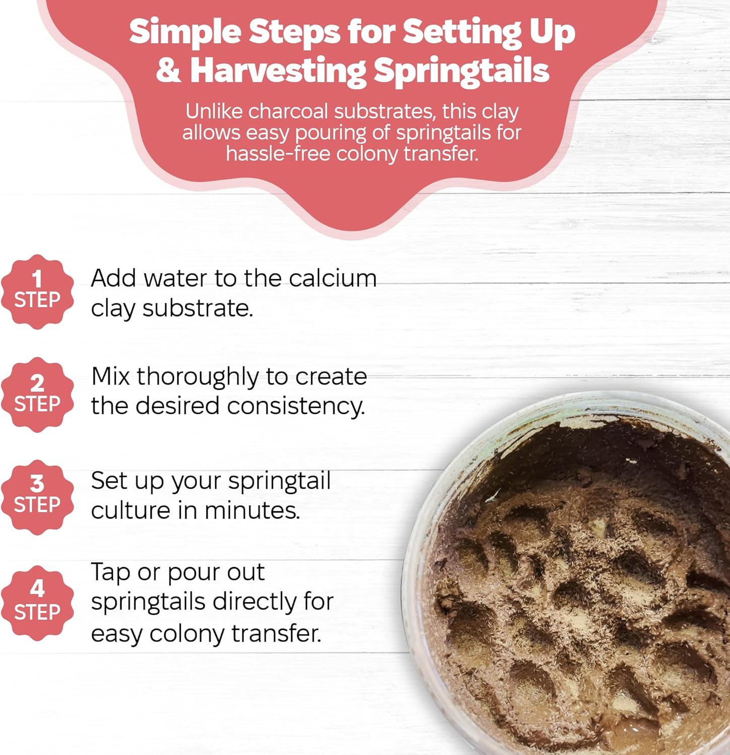 Snout and Shell Springtail Calcium Bearing Clay - 2 lb | Ideal for Culturing Springtails, Reptile and Amphibian Terrariums, and Natural Habitat Cleanup Crew - Happypetzone.online - Image 5