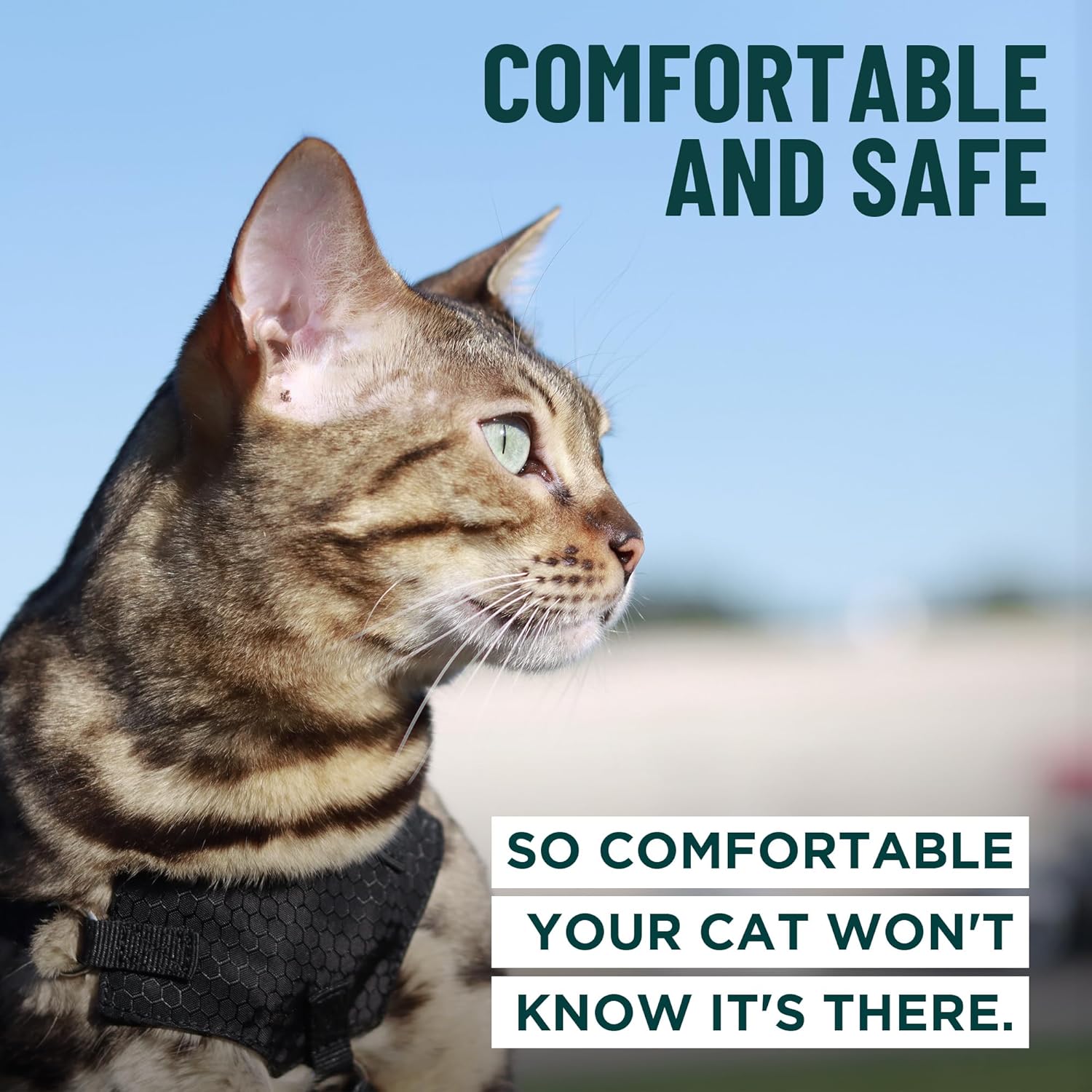 Houdini™ Escape Proof Cat Harness and Leash Set by OutdoorBengal – Black, Medium Cat Harness for Walking - Happypetzone.online - Image 4