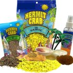 reptile food for beginners