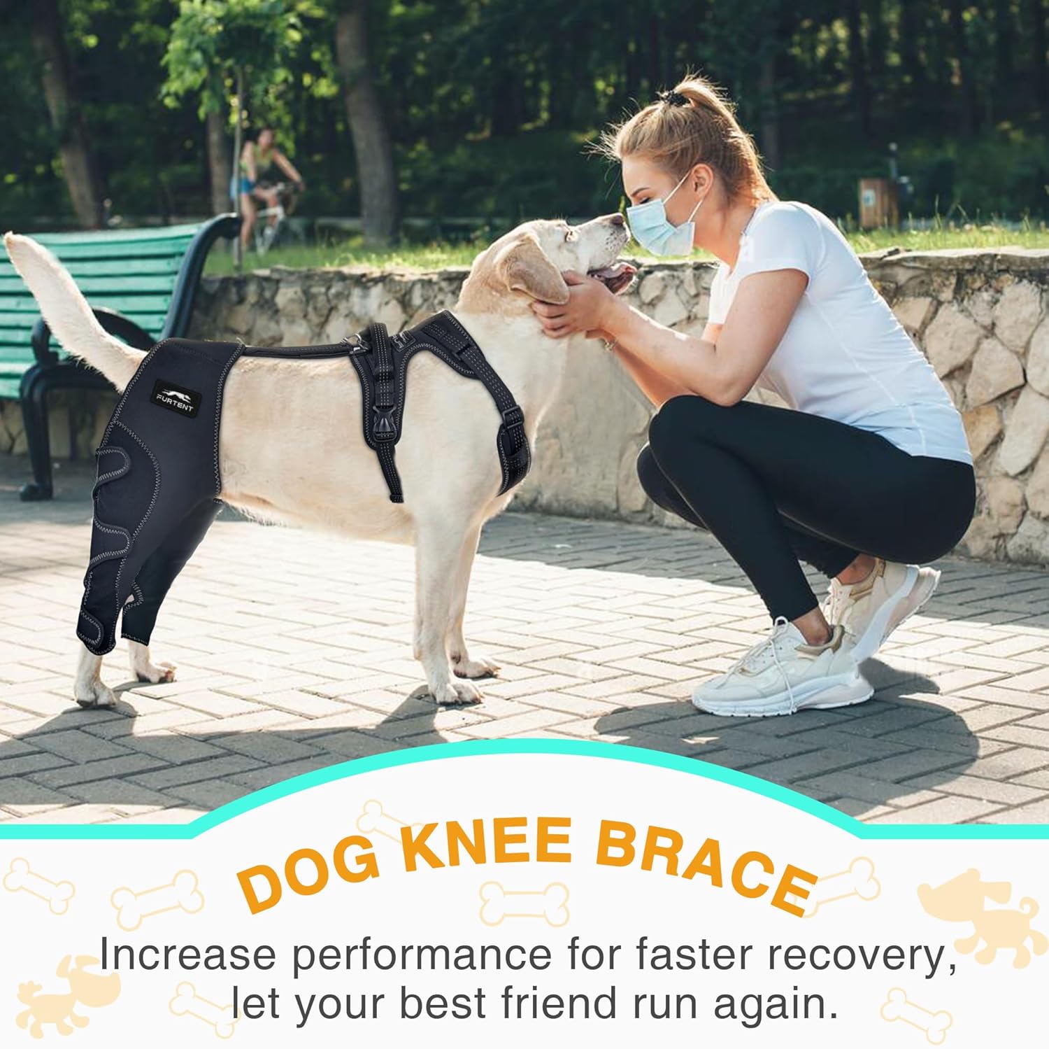 Dog Knee Brace for Torn ACL Hind Leg - Keeps Joints Warm and Stable, Upgraded Adjustable Leg Support, Dogs Rear Leg Wrap Harness Set for Leg Wound Care Prevents Licking - Happypetzone.online - Image 2