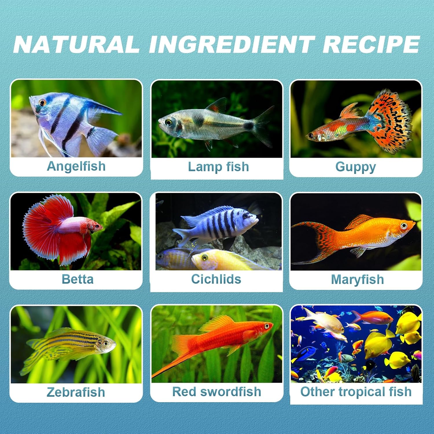 8 OZ Ultrathin Tropical Fish Flakes - High Protein with Krill & Spirulina for Betta, Guppies, Tetra, Angelfish, Color Enhancing Fast Growth Formula - Happypetzone.online - Image 7