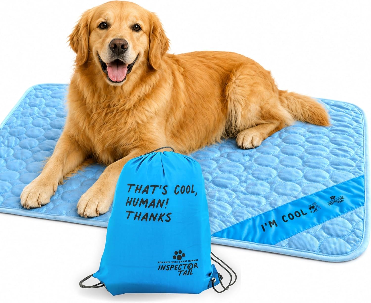 cooling dog bed summer