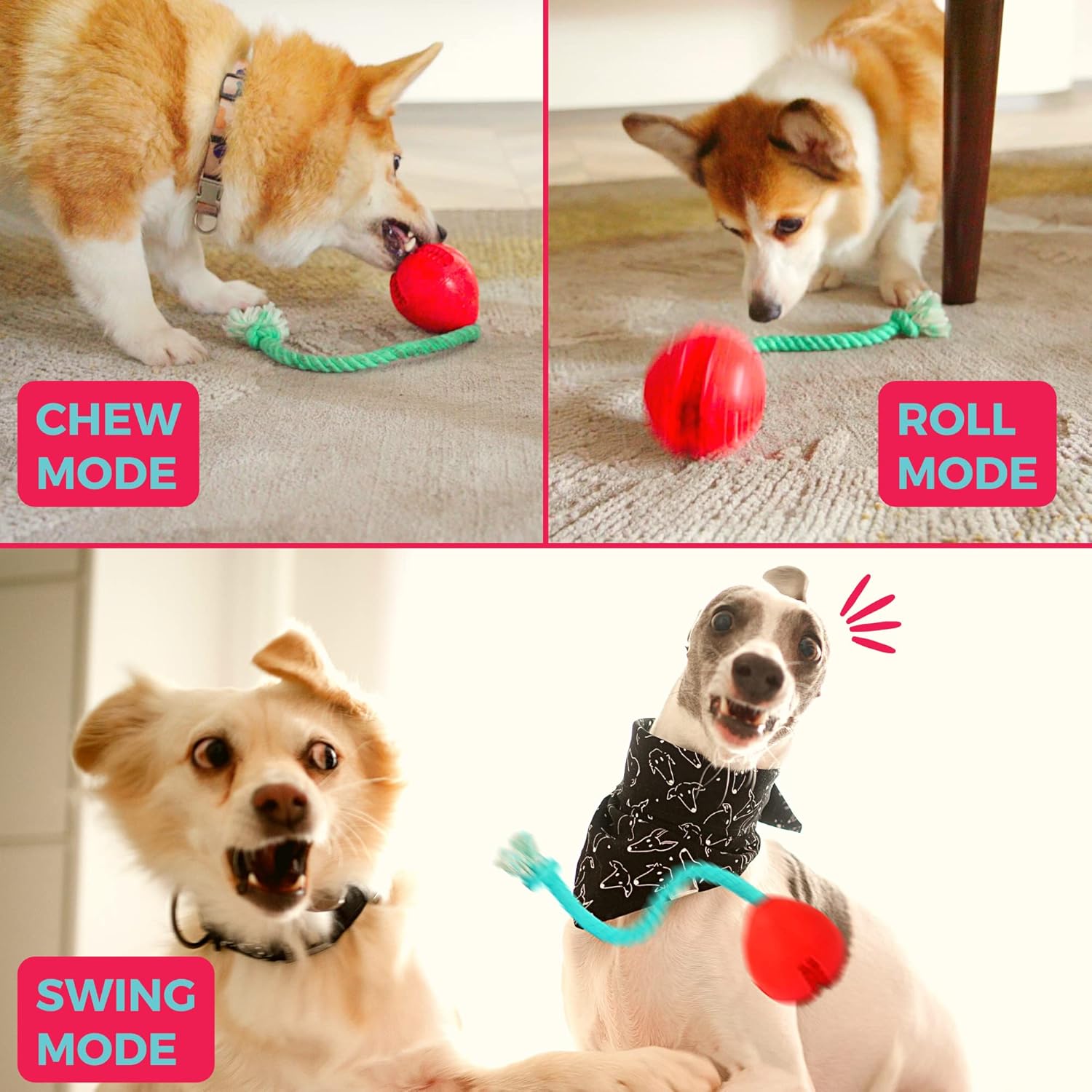Fossa Interactive Dog Toys, Crate Training Aids for Puppies, Puzzle Treat Dispenser with Rope, Multifunctional Dog Toys - for Reduce Dog Boredom and Anxiety, Dog Teeth Cleaning and Chew Toy - Happypetzone.online - Image 4