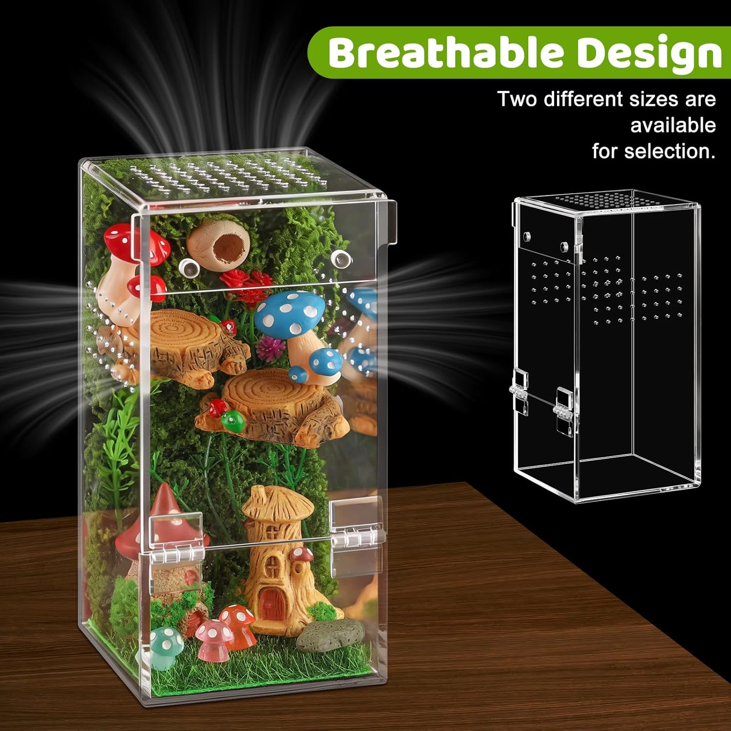 Jumping Spider Enclosure Kit Acrylic Terrarium Reptile Enclosure Accessories Insect Habitat for Mantis Tarantula Snail (Small) - Happypetzone.online - Image 4