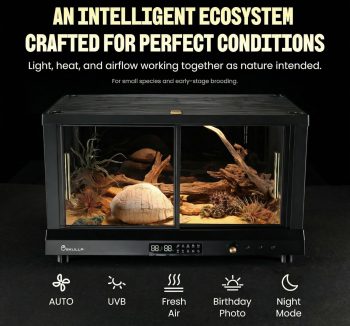 snake tank enclosure