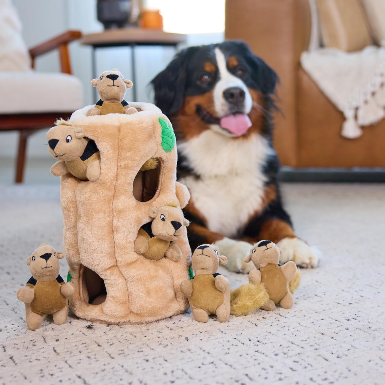 Outward Hound Hide-A-Squirrel Dog Toy – Interactive 2‑in‑1 Plush Puzzle with 6 Squeaky Removable Squirrels, X-Large - Happypetzone.online - Image 6