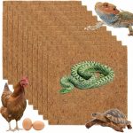 gecko substrate natural