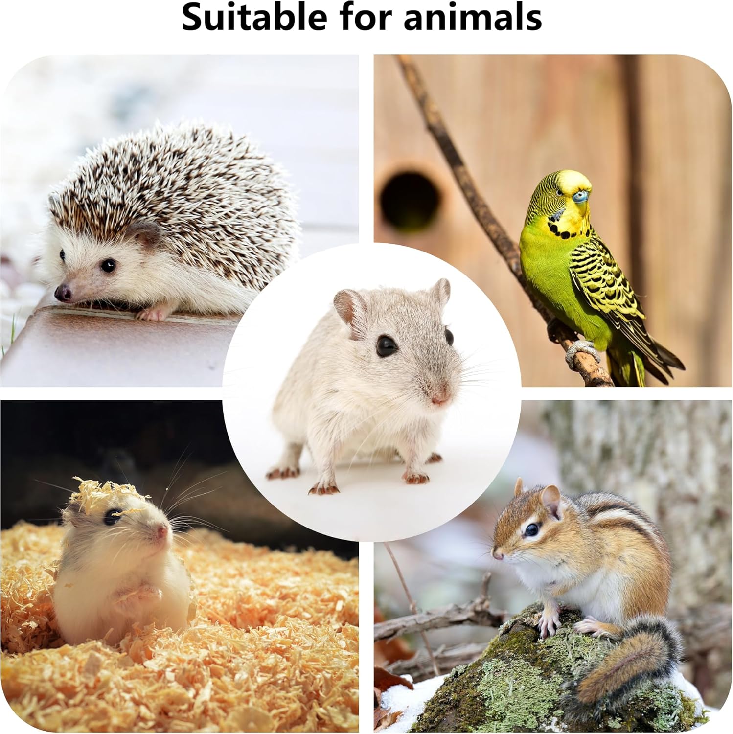 Hamster Wooden Platform with Legs Small Animal Climbing Ladder Standing Rat Guinea Perch Chew Toy Cage Accessories (Platform-Small) - Happypetzone.online - Image 6