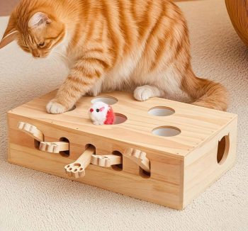 cat puzzle toys