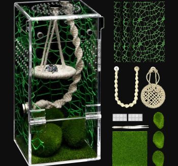 terrarium kit complete