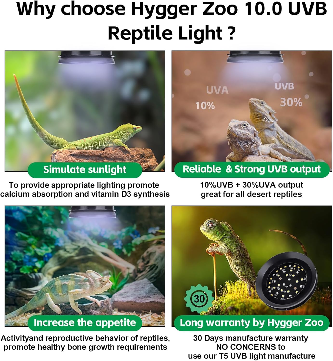 UVB Light for Reptiles with Dimming, LED UVB Light Bulb Fixture for Bearded Dragon Gecko Lizard Turtle Snake, Adjustable Brightness UVA UVB Lamp for Tropical & Desert Reptile Tank Accessories 6W Black - Happypetzone.online - Image 4