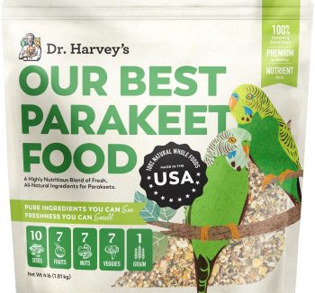 best bird food