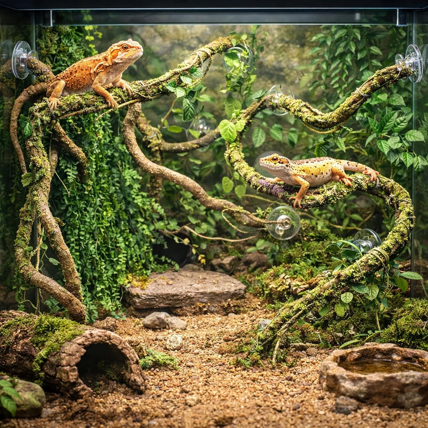 HERCOCCI Reptile Vines, Flexible Jungle Climbing Vines Terrarium Plastic Plants and Leaves Tank Accessories Decor for Gecko Snake Lizard Bearded Dragon Hermit Crab Frog - Happypetzone.online - Image 4