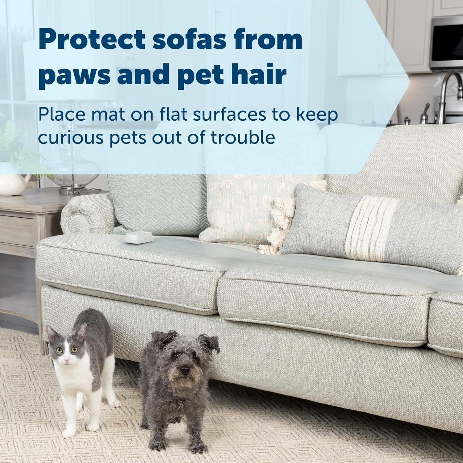 PetSafe ScatMat Indoor Training Mat - Happypetzone.online - Image 2