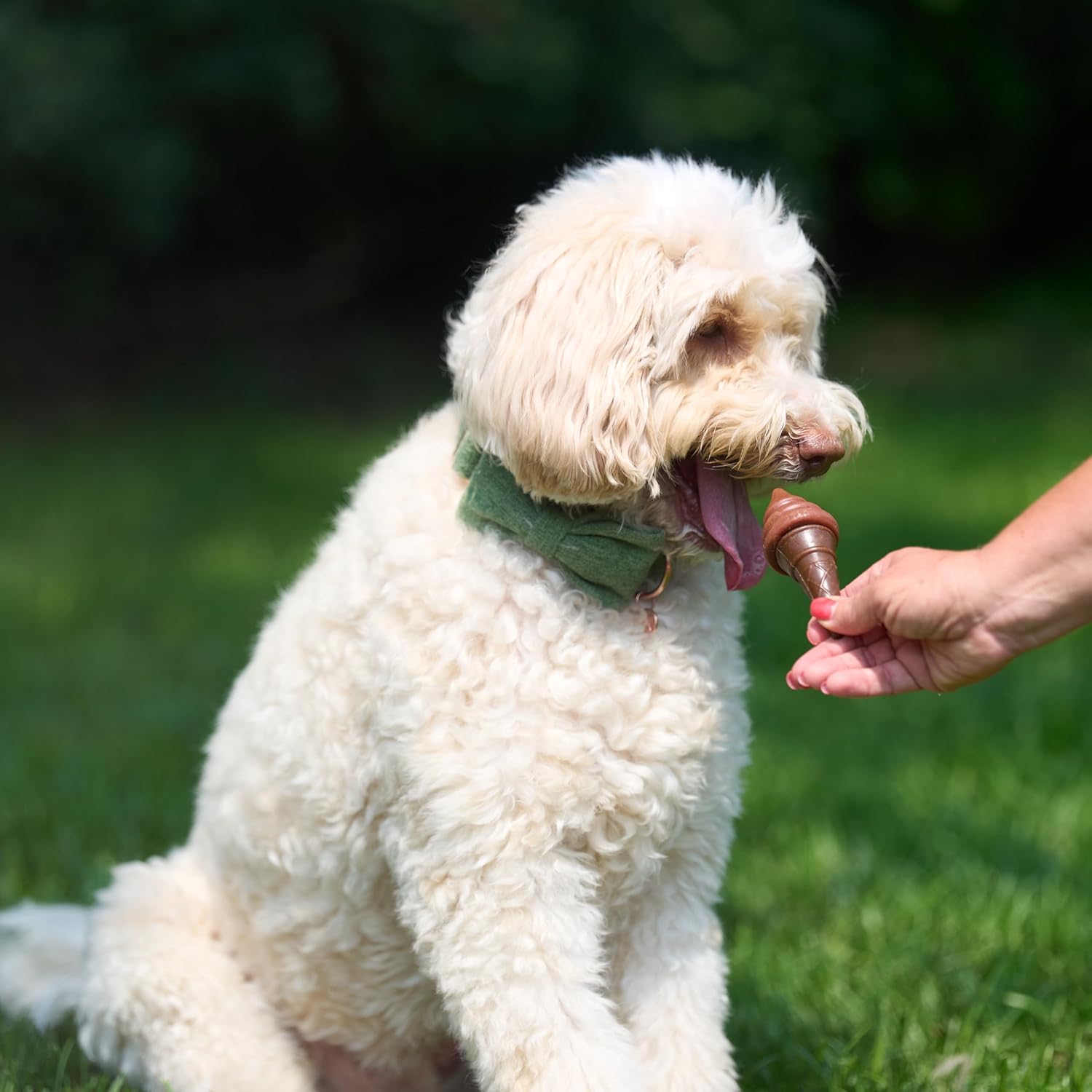 SPOT Pup Ice- Ready to Freeze at Home Dog Treats-Edible Chews for Medium Breed Dogs & Puppies with Real Chicken to Keep Your Pup Cool Year Round, Waffle Cone Strawberry Flavor, 2pcs - Happypetzone.online - Image 9