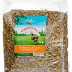 mealworms for reptiles